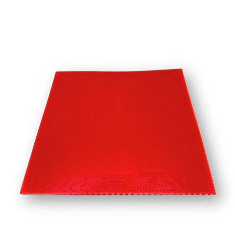 Sauer&amp;Tröger Blackout (2025)